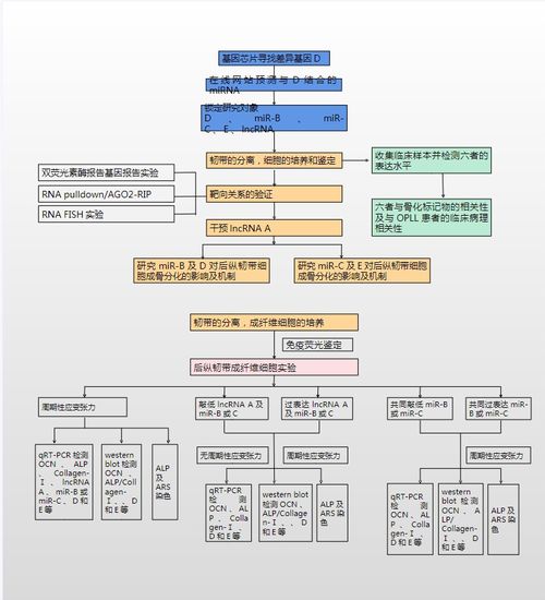 23個可編輯技術路線圖模板及繪制技巧詳解 聚焦國自然9大熱點與北京軟件技術開發實踐